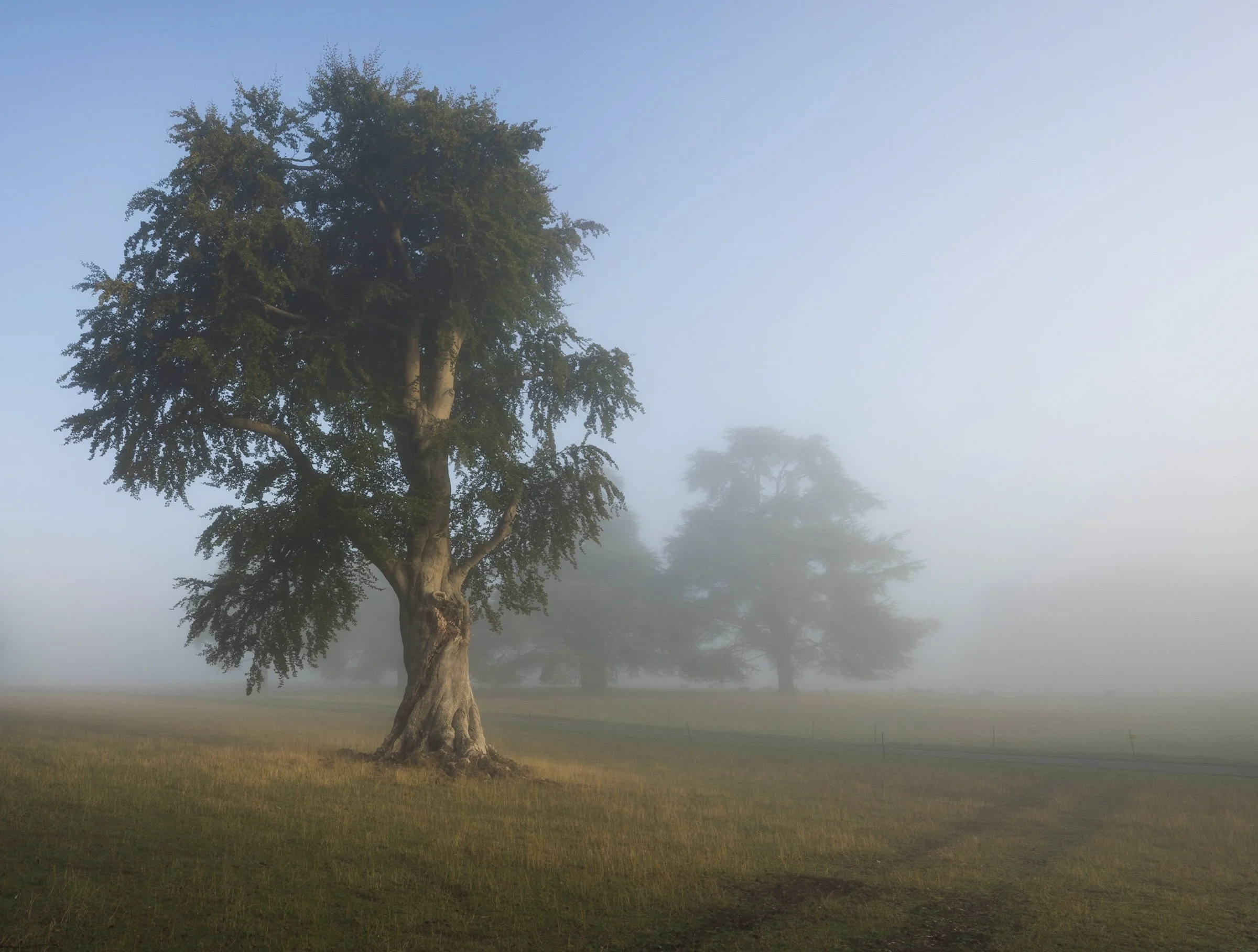Oxfordshire (29 of 45).jpg