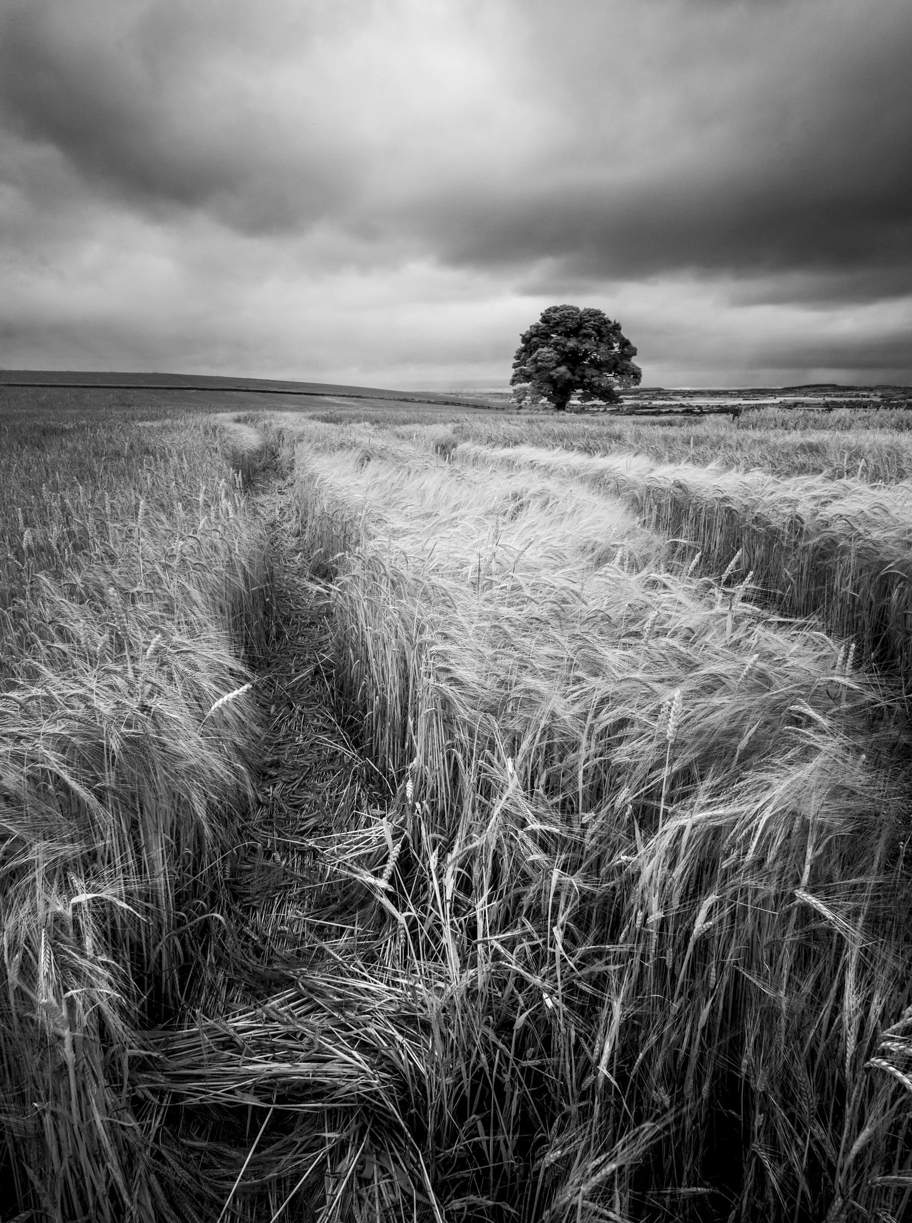Oxfordshire (15 of 45).jpg