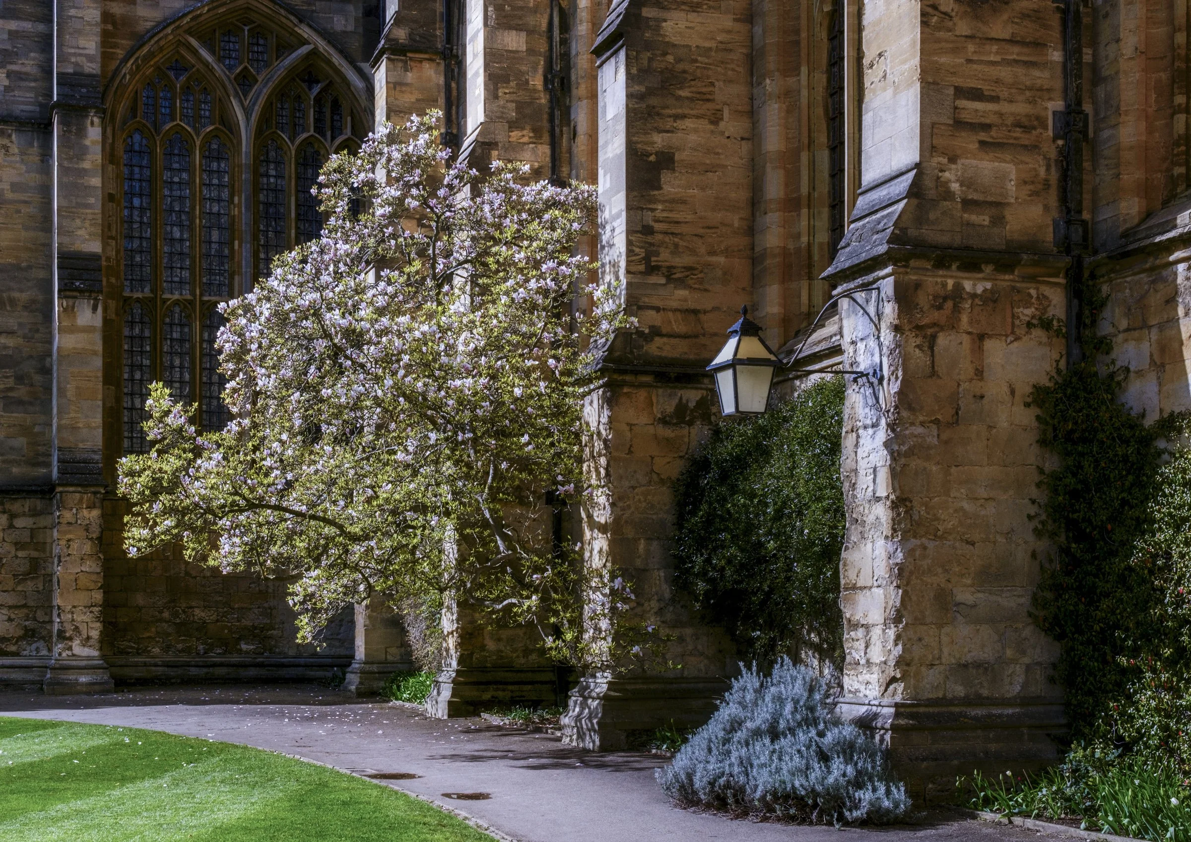 oxford (8 of 29).jpg