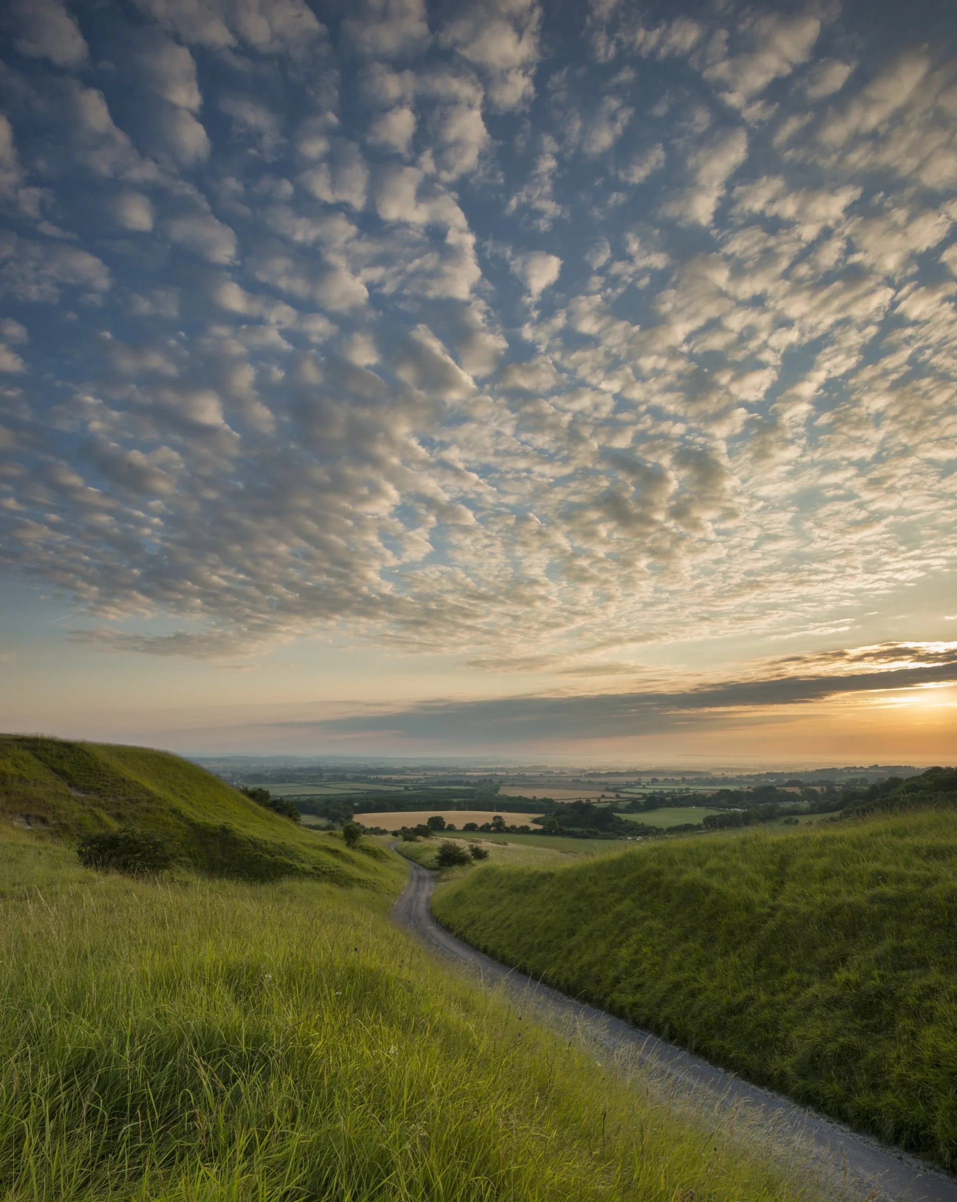 Oxfordshire (1 of 45).jpg