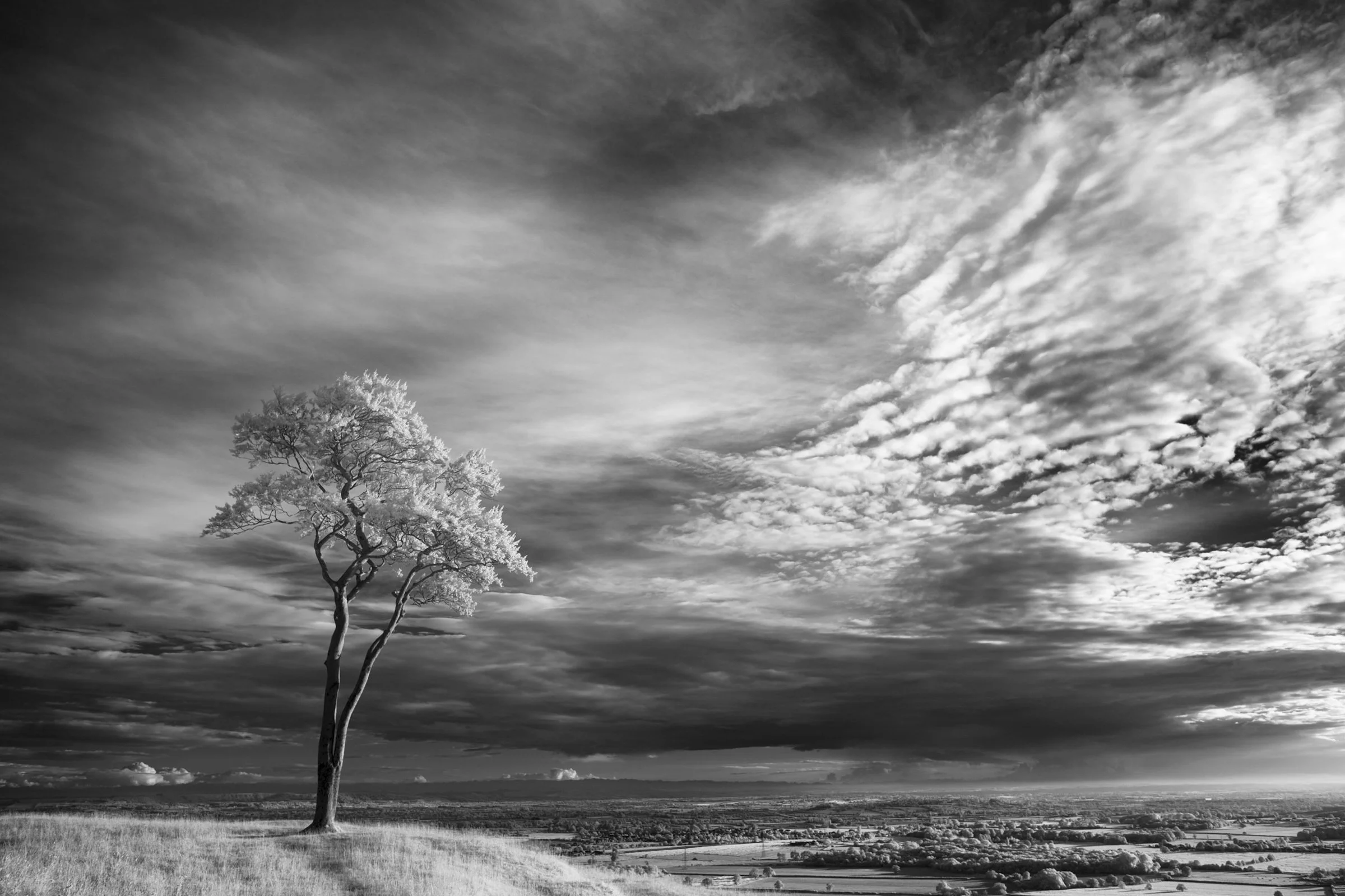 Oxfordshire (17 of 45).jpg