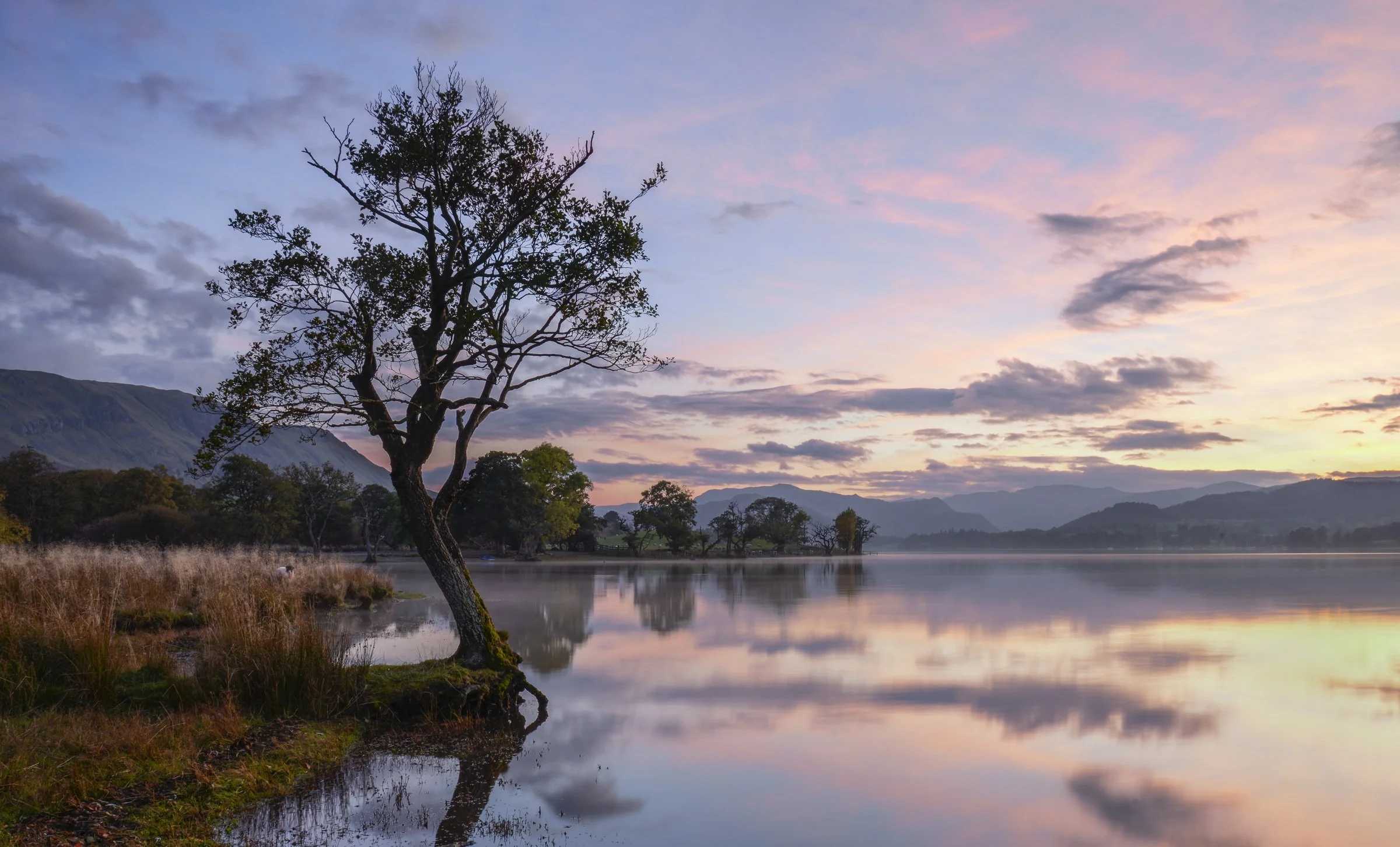 Lakes (3 of 29).jpg
