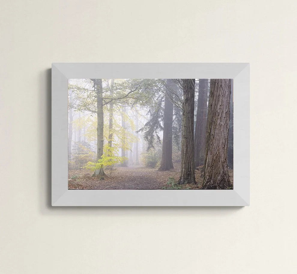 bagley wood.jpg