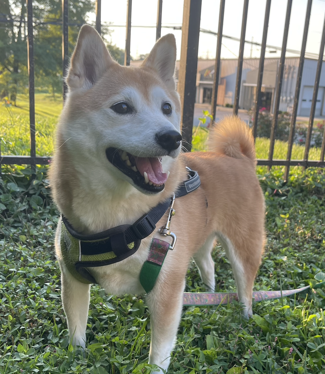 Screenshot 2024-02-09 at 4.30.16 PM.png