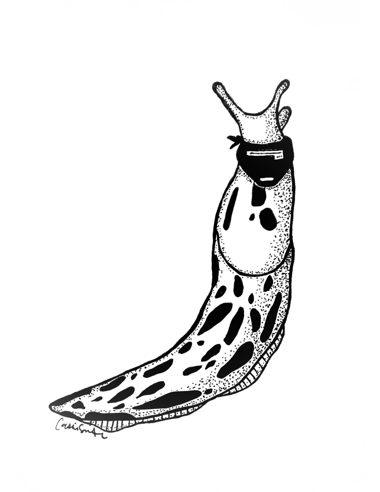 Untitled design (19).png