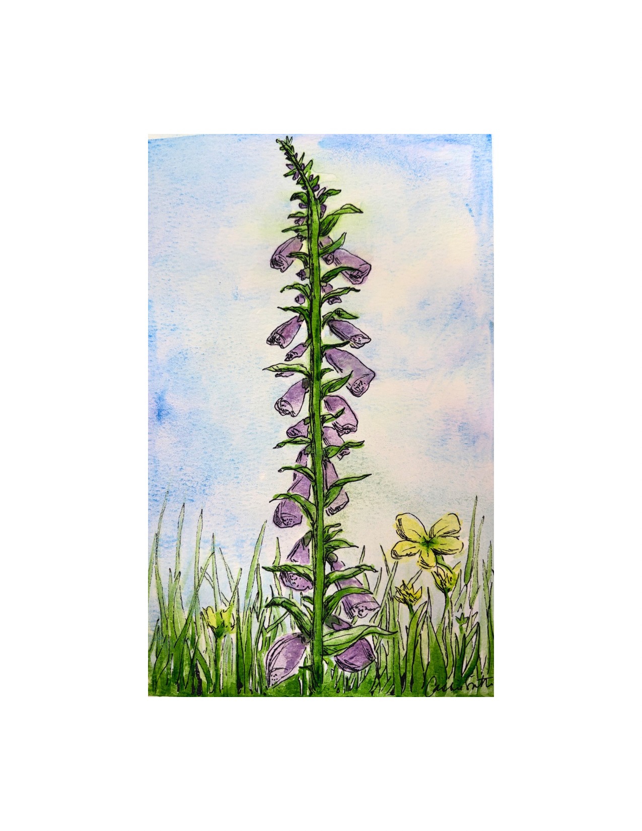 Untitled design (18).png