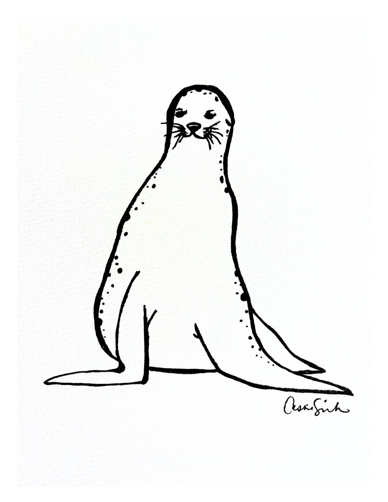 Solo Seal