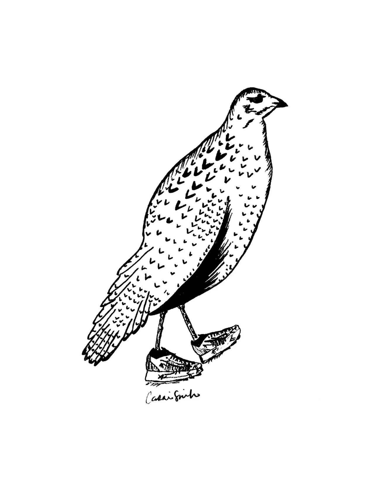 Trail Bird