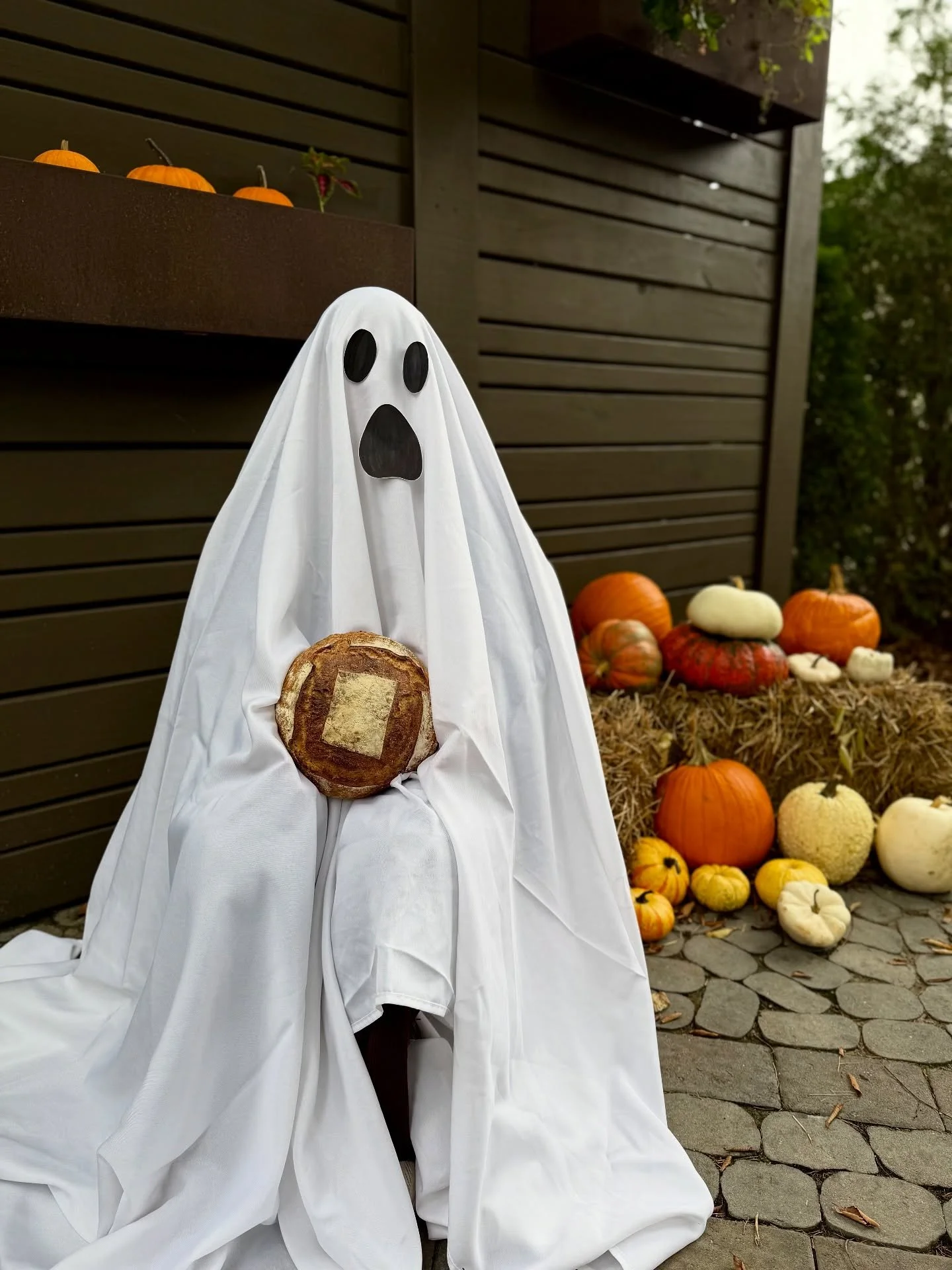 π» We’ve got a spooky Halloween market coming up on Sunday, October 26th from 9am-12pm, right here at the shop!
We’ll have wonderful local vendors, spooky treats, fun activities for kids, and of course, plenty of bread, pastries, and cof