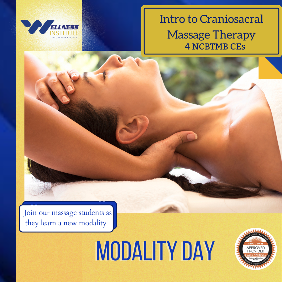 Modality Monday: Introduction to Craniosacral Massage Therapy