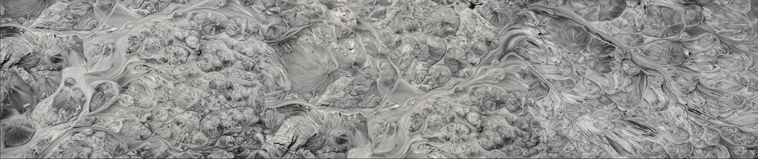 In the Mud Back final-corrected.jpg