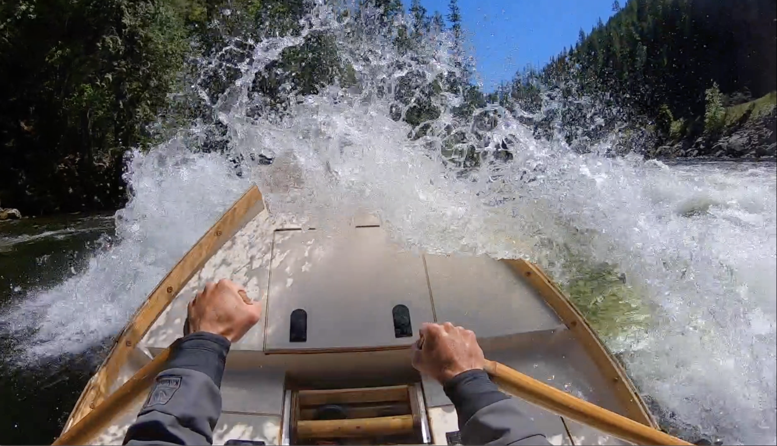 Screen Shot 2022-02-11 at 12.12.01 PM.png