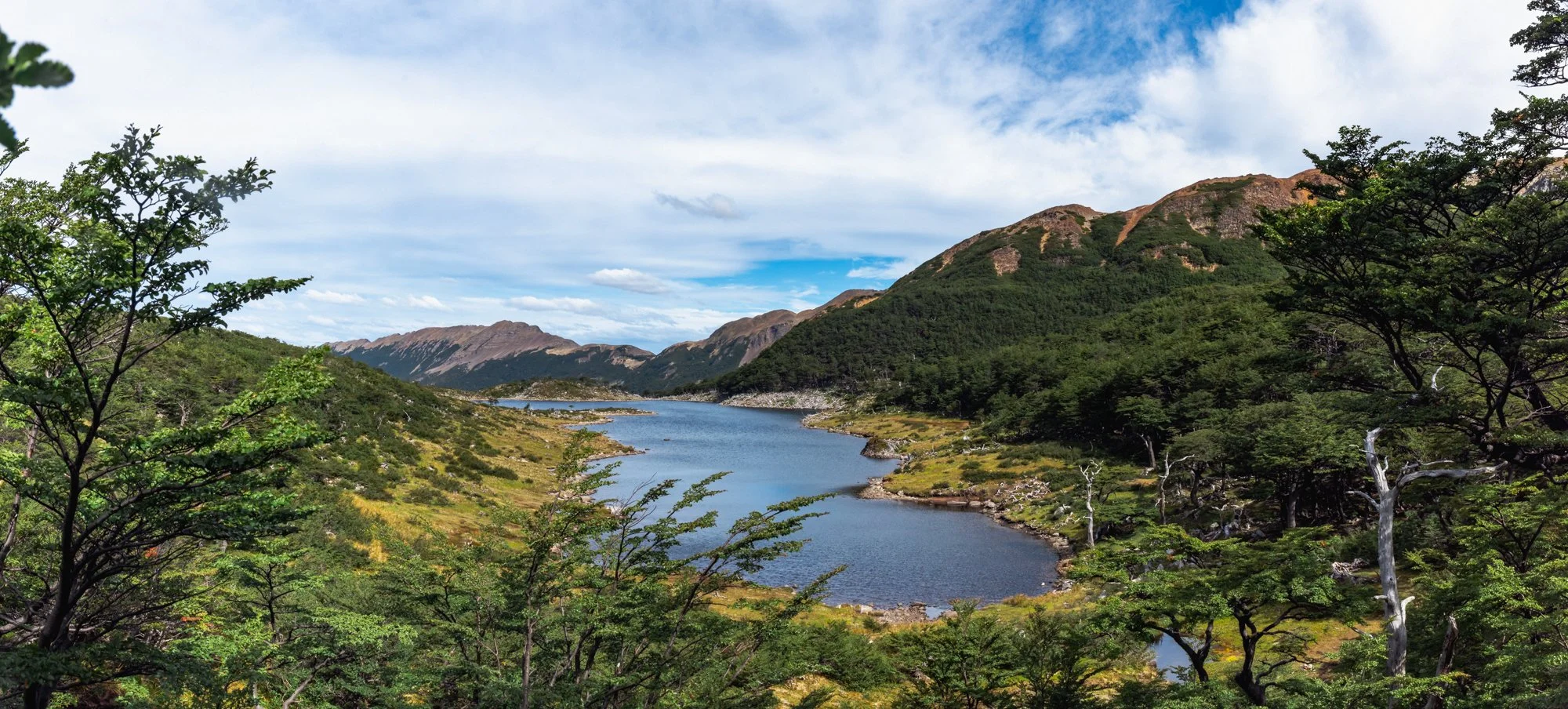 Dientes de Navarino - 00495-Pano.jpg
