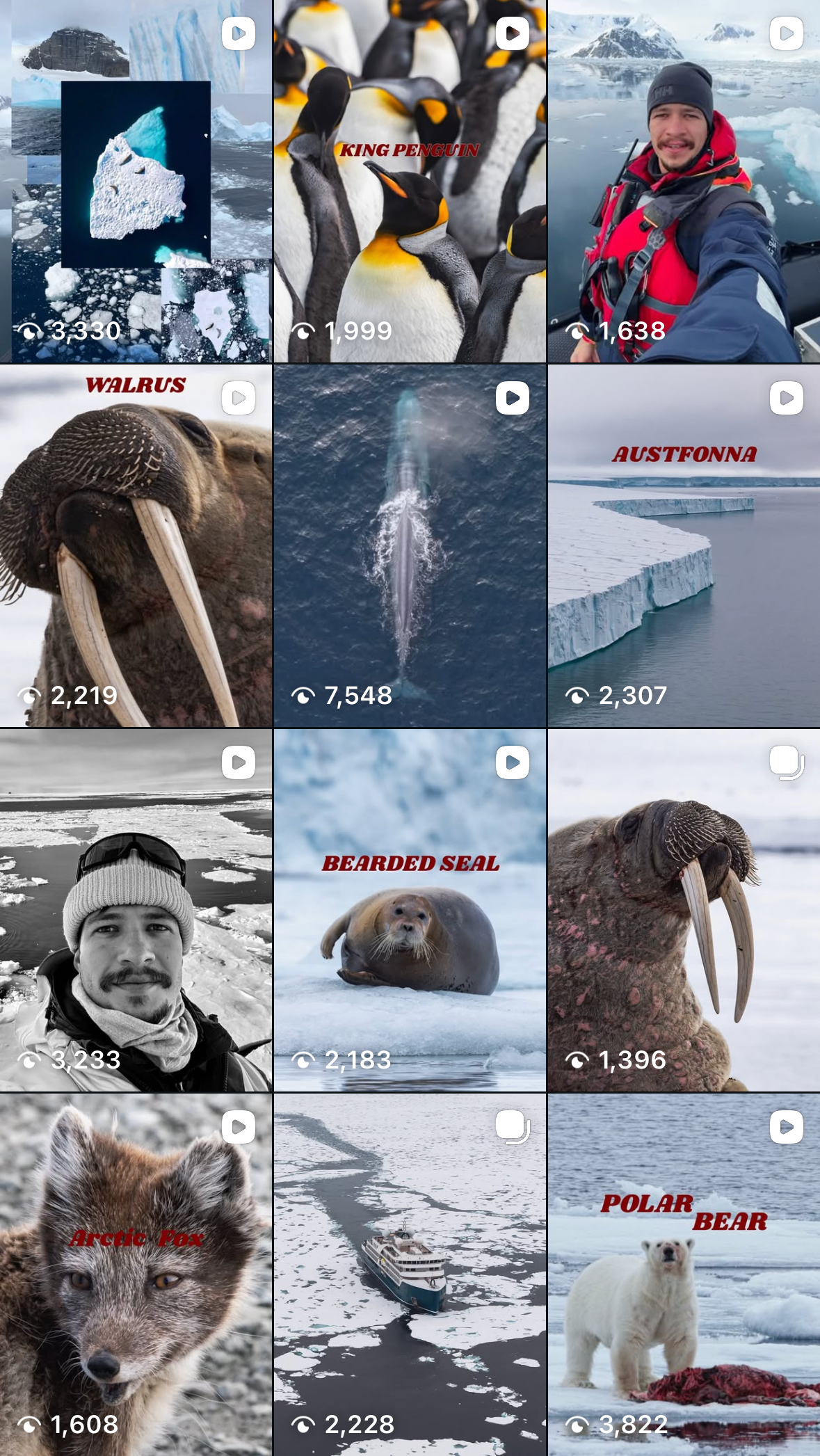 antarctica UGC user generated content expedition cruising outdoors outdoor brands