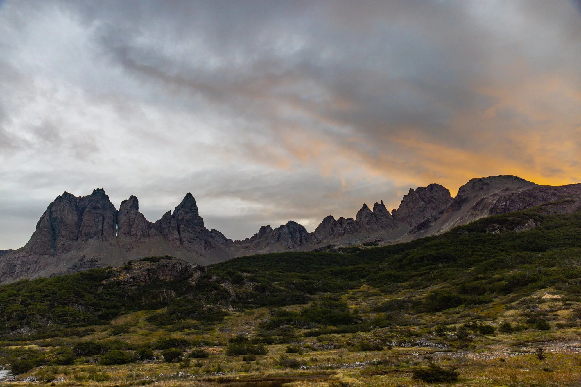 Dientes de Navarino - 00561.jpg