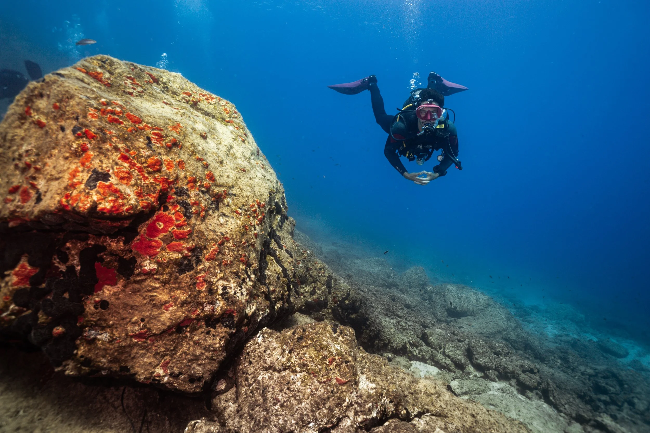 NIMA Nikolas - 00027.jpg