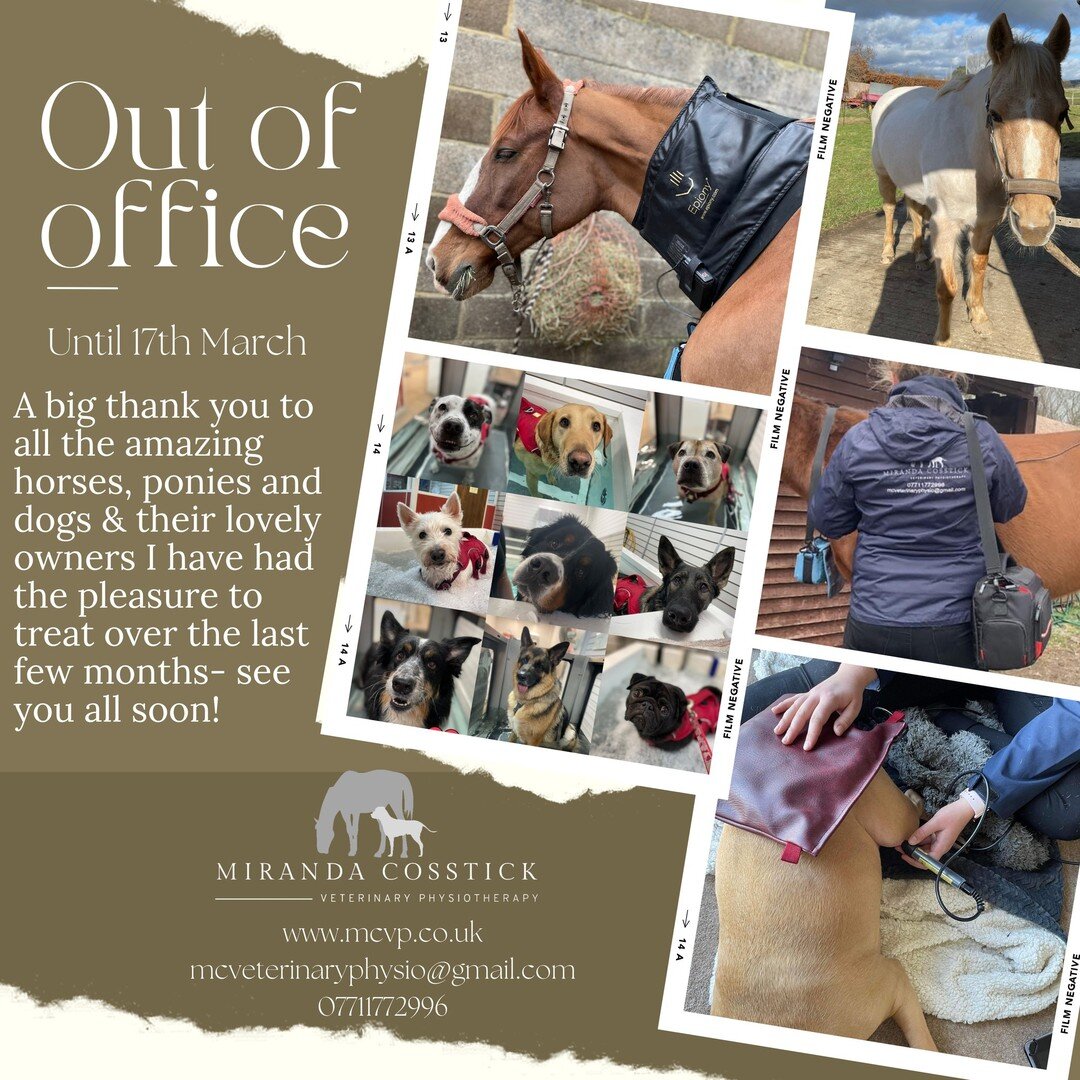 ⭐OUT OF OFFICE🐴🐶

Thank you all for the last few months fun- I will be away until 17th. All new appointments will be sorted after this date- if you'd like to book then please drop a message and I will see to it when I return. 

Booking well into Ap