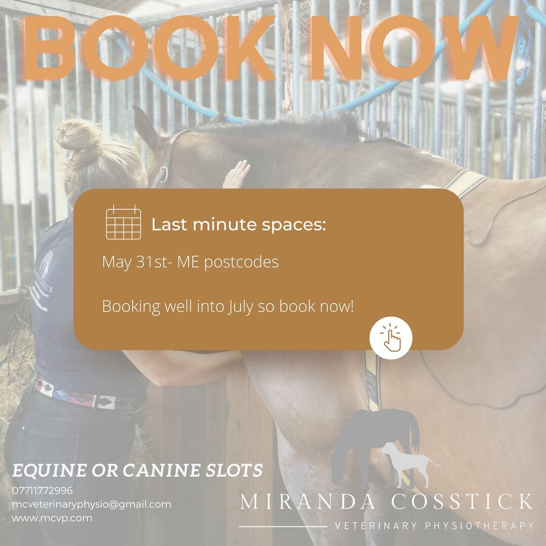📯Last minute space available!📯
📲Message now to book!

⭐Booking into the summer now so get messaging to ensure you get a space!⭐

🐴Whether you're having a successful start to your competition season or just beginning to enjoy your summer hacks (So
