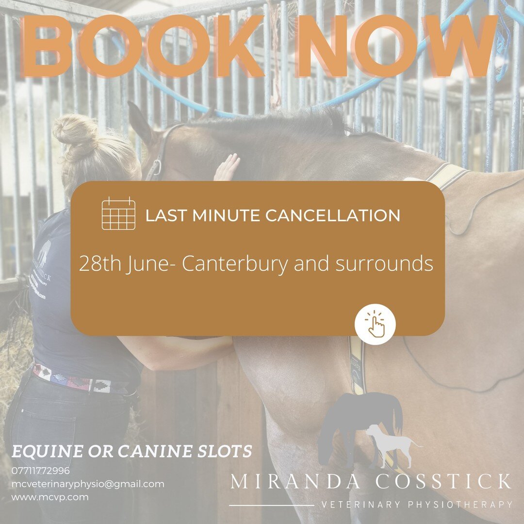 LAST MINUTE CANCELLATION
TOMORROW PM
Canterbury+30mins or so
DM me!