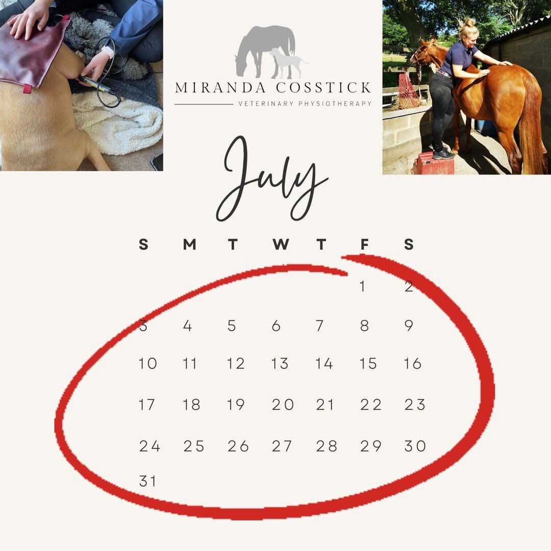 🐴🐶July Availability
Few remaining slots for July!

5th Sittingbourne, maidstone surrounds
18th Canterbury &amp; surrounds
19th North Kent
26th (1 space left north kent)

Canine or Equine
07711772996
or DM me to book in now