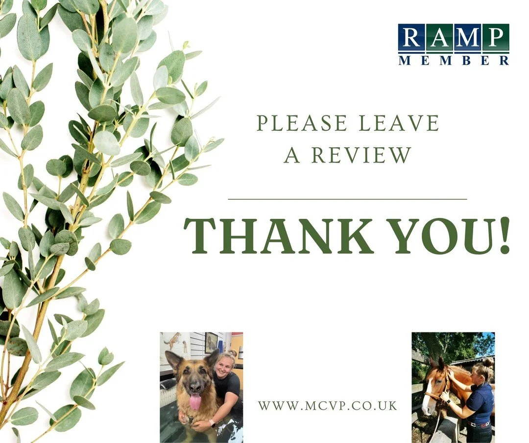 Small businesses thrive on reviews and word of mouth. If your horse/dog (or other!) has been treated by me please can I ask you leave a review (under the reviews tab on Facebook or on google) and you&rsquo;ll be in with the chance of winning a free s