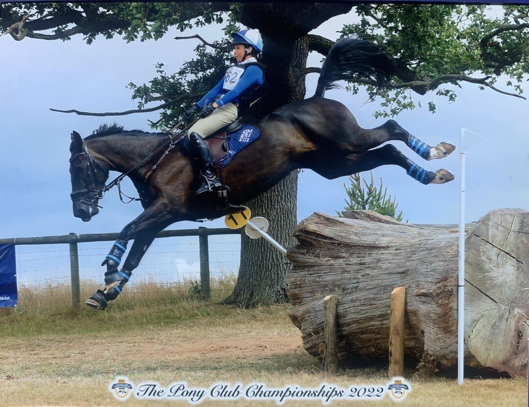 What a summer 🤩🌞

A pleasure to introduce the lovely Rhiannon &amp; Forest as supported combo absolutely kicking- a** at pony club champs last weekend! A hugely promising pair with much to come and I can&rsquo;t wait to see what next year brings🥰❤