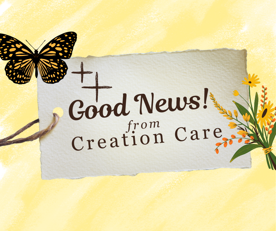 Good News! from Creation Care