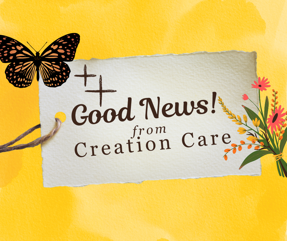 Good News! from Creation Care
