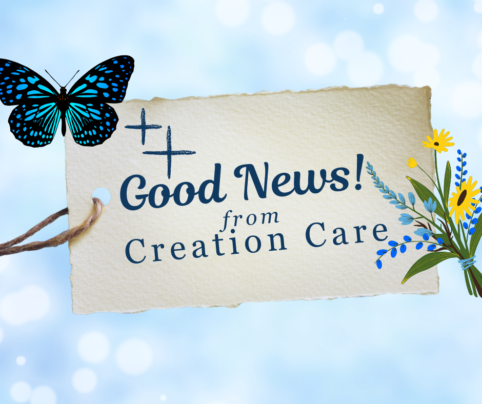 Good News! from Creation Care