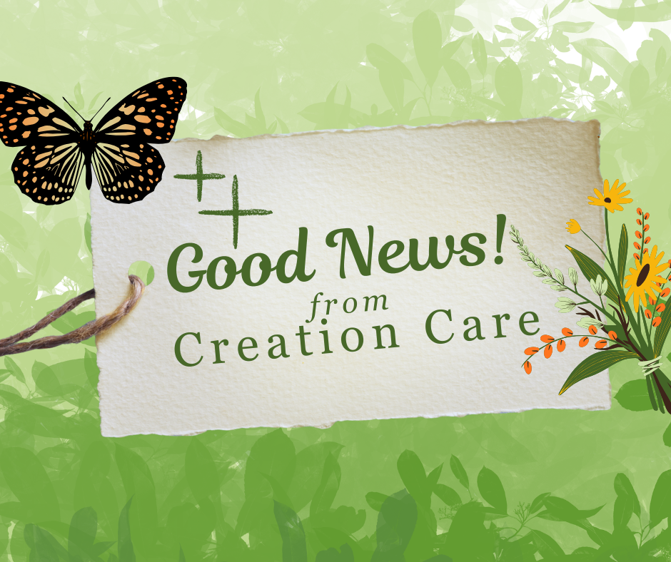 Good News! from Creation Care