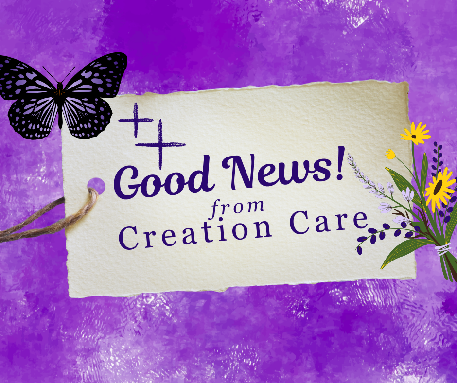 Good News! from Creation Care