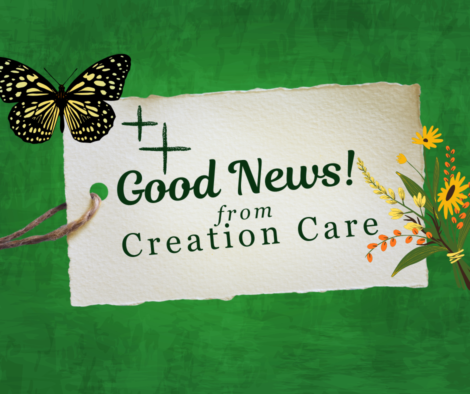 Good News! from Creation Care