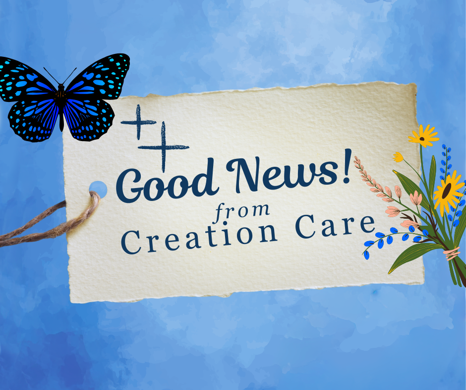 Good News! from Creation Care