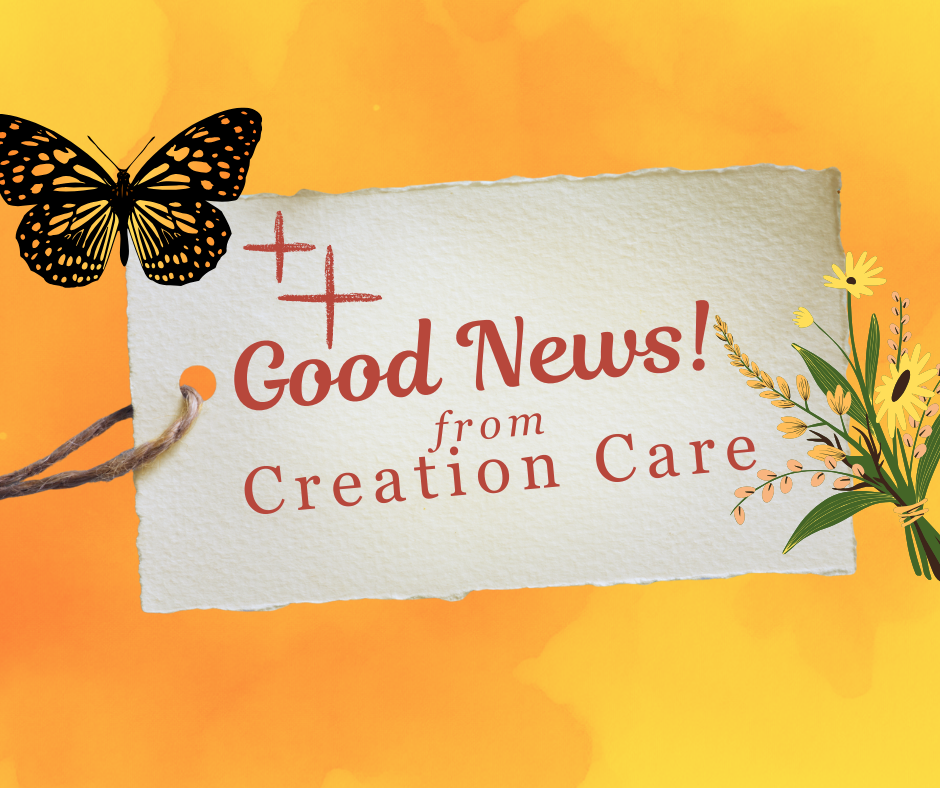 Good News! from Creation Care