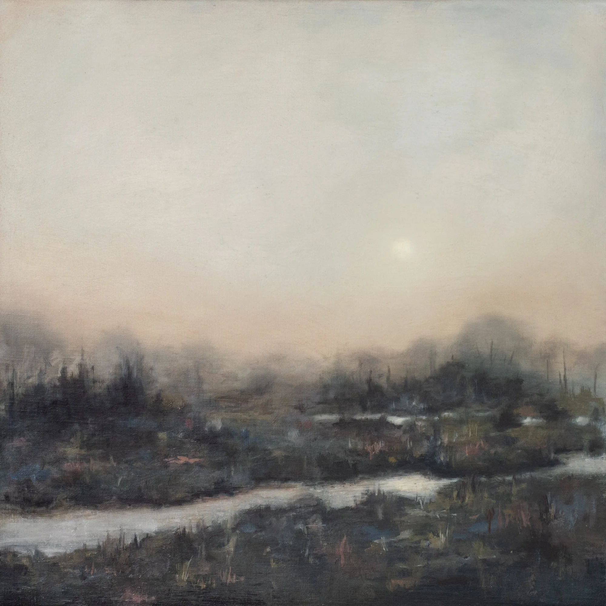 Wetlands 72 dpi-1.jpg