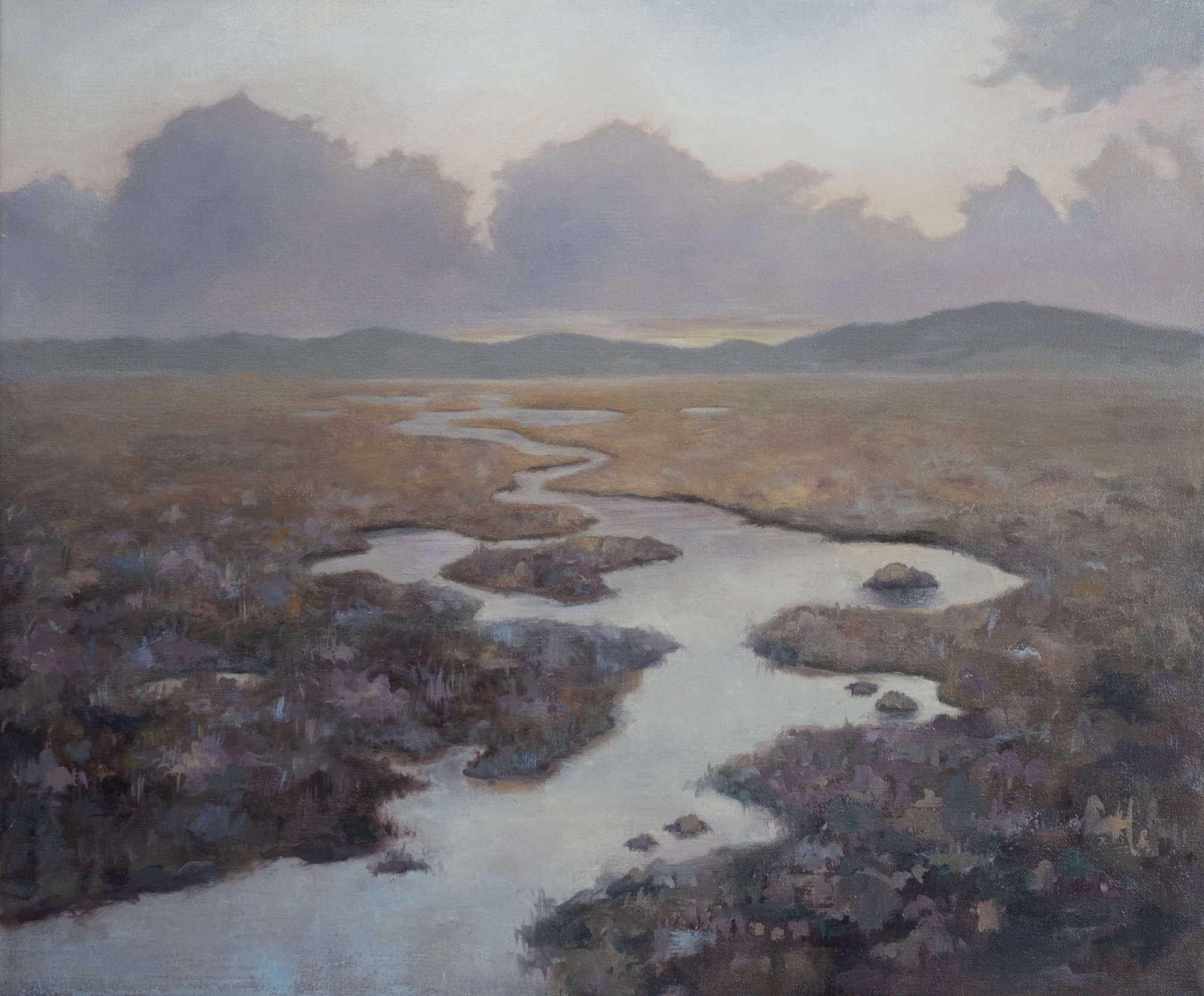 Wetlands 72 dpi-11.jpg