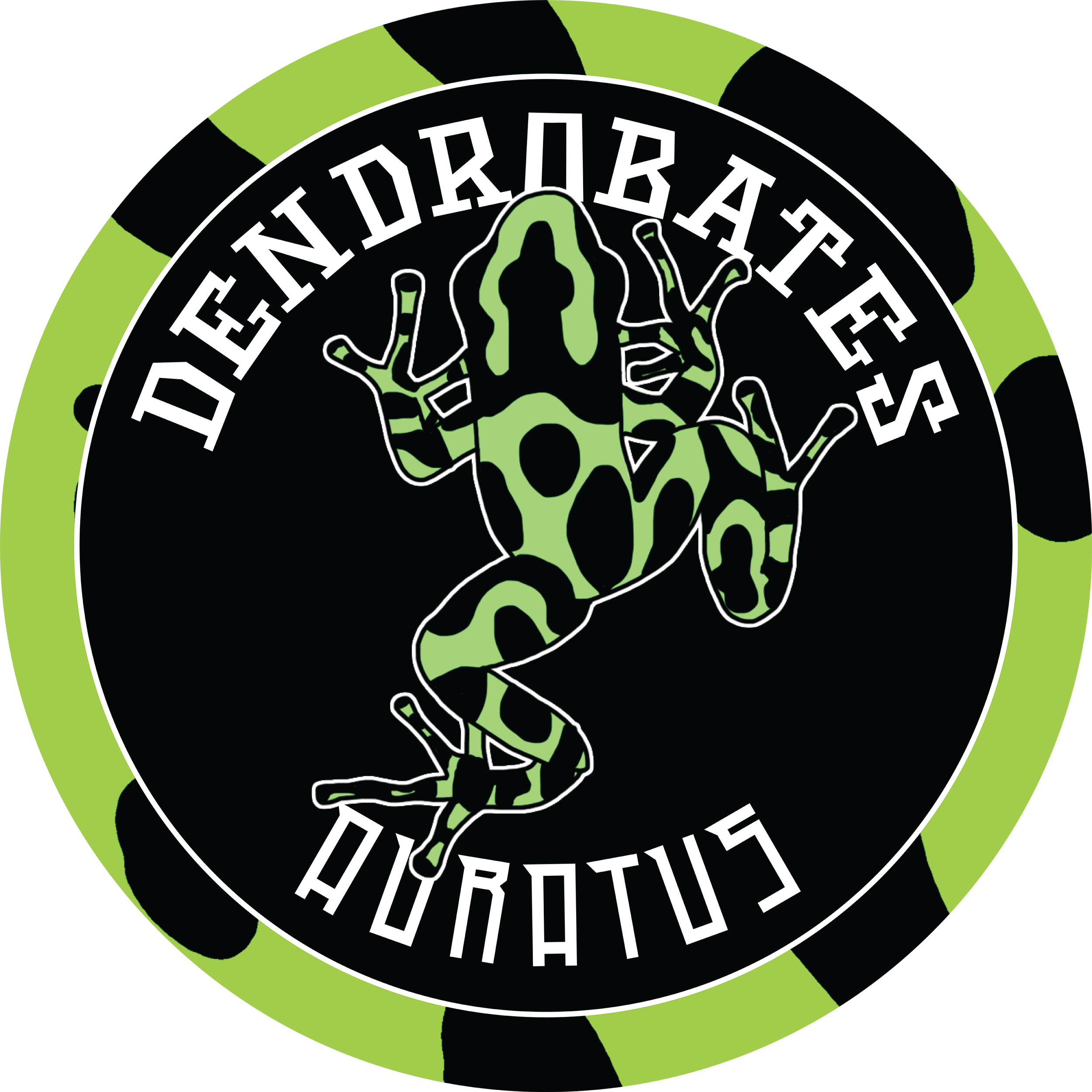 Bottle Cap Design