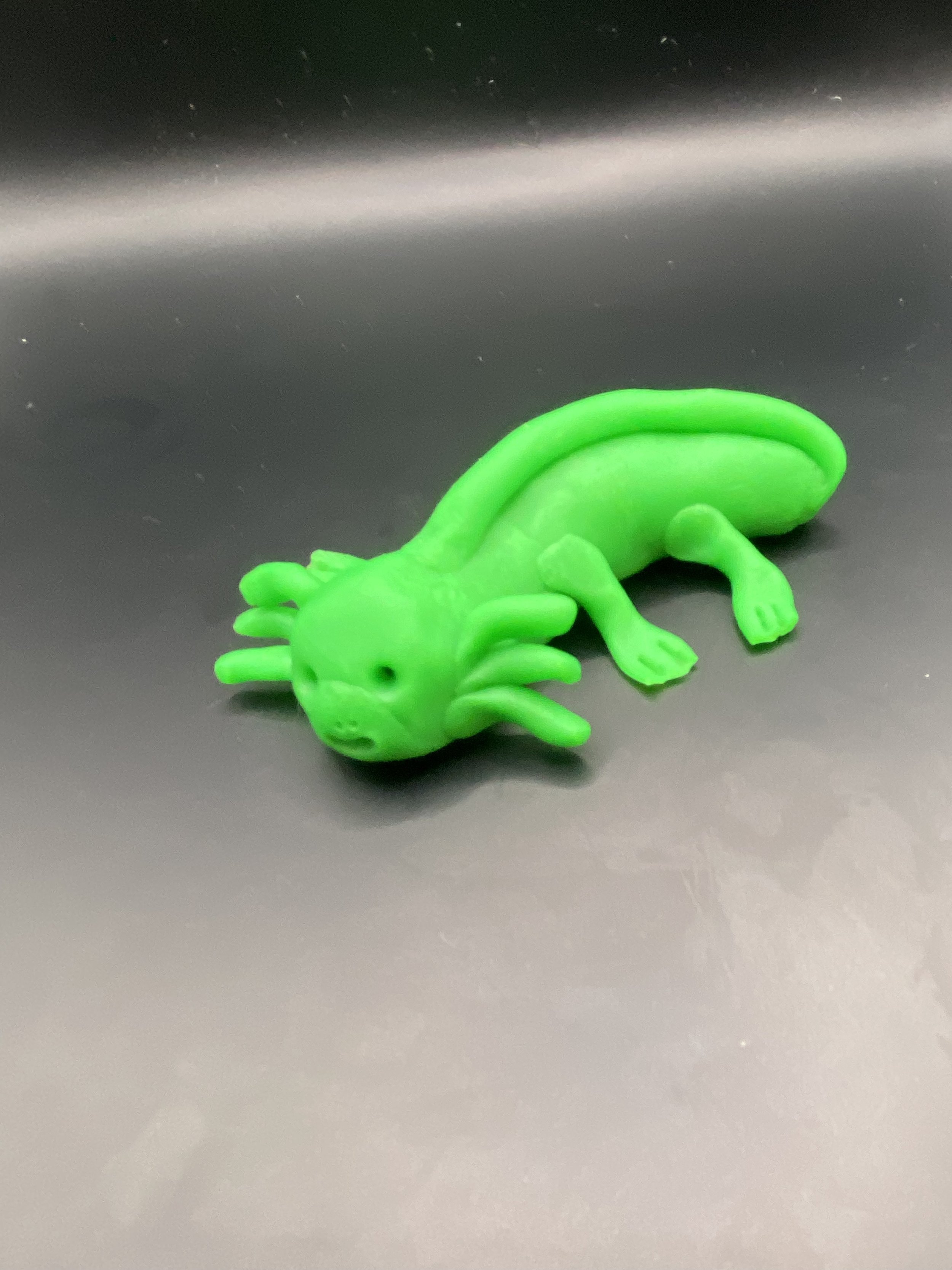 Axolotl Assets