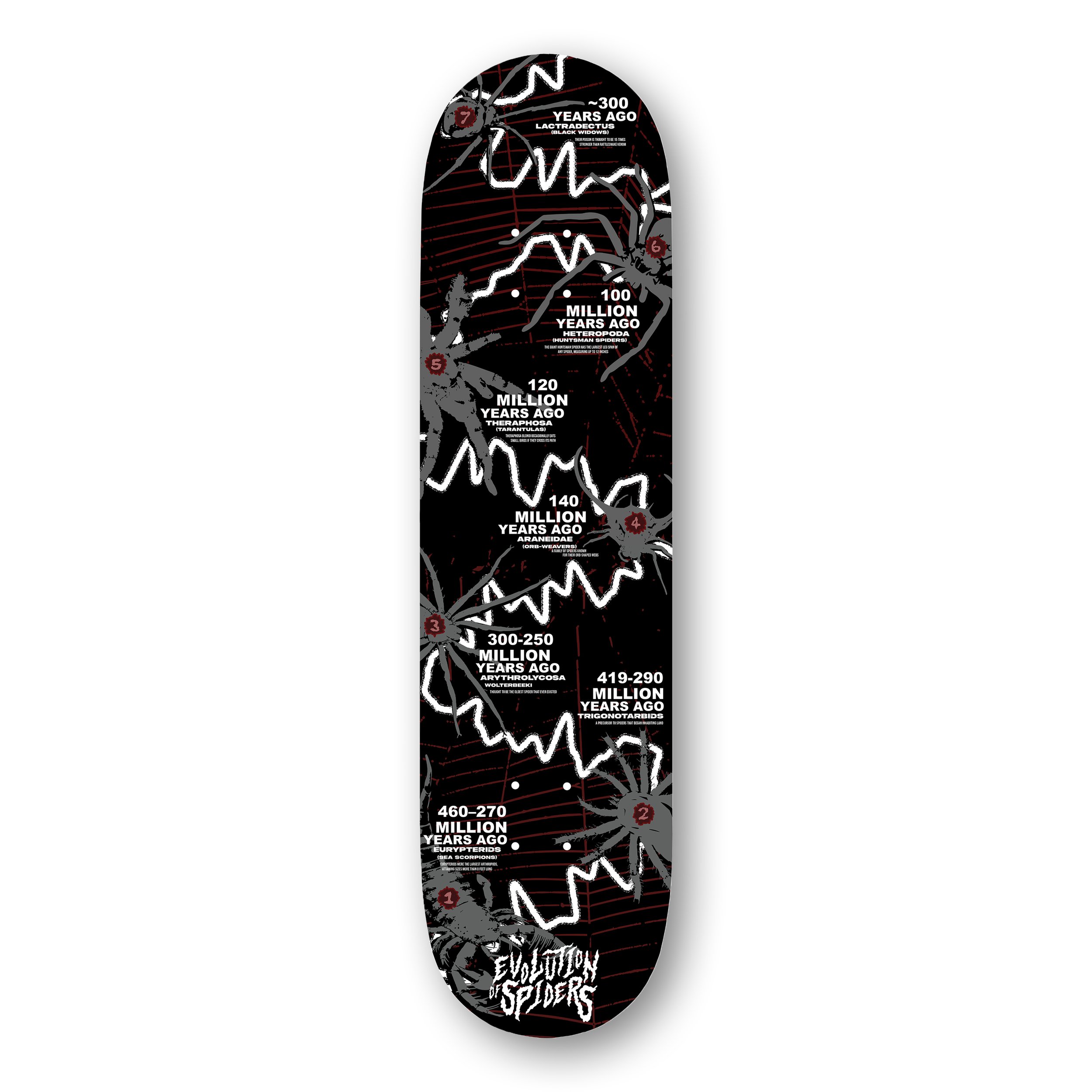 Evolution of Spiders Timeline (Skateboard Graphic) for Gen Z Demographic