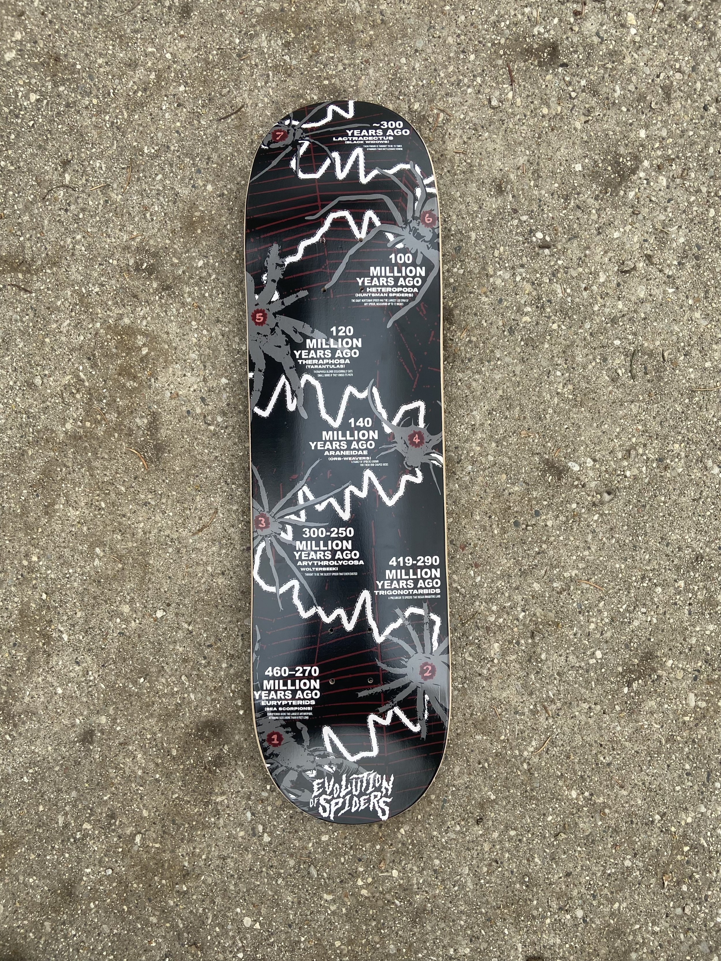 Physical Board Design Image