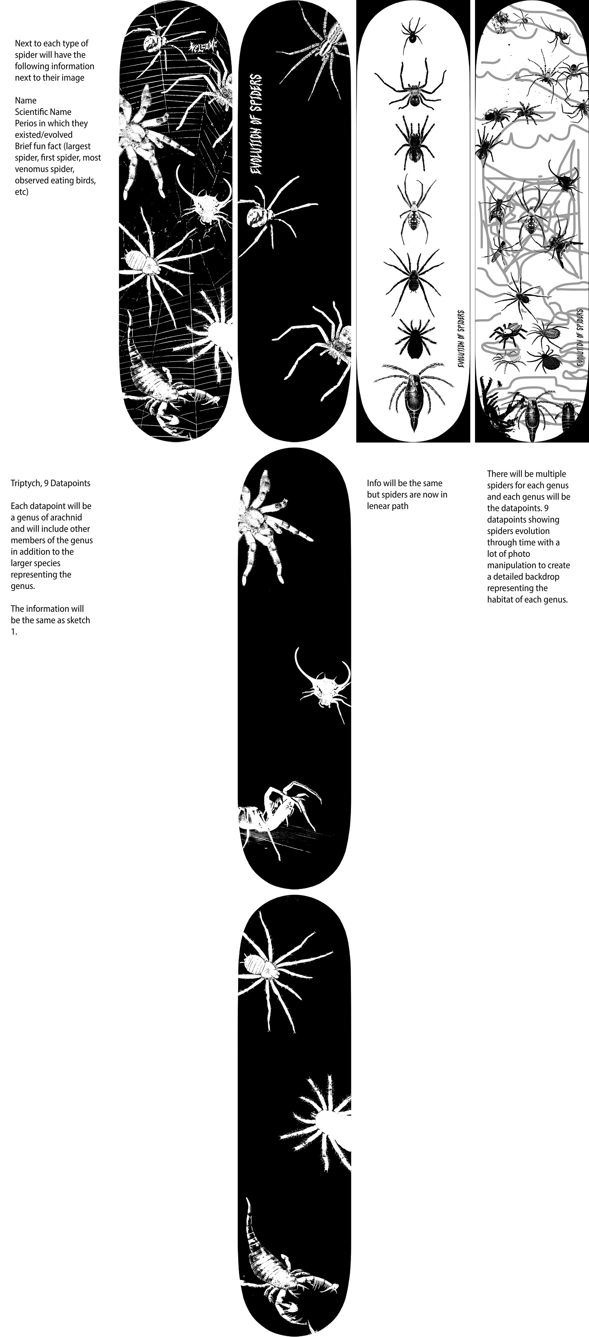 Examples of possible layouts for skateboard design