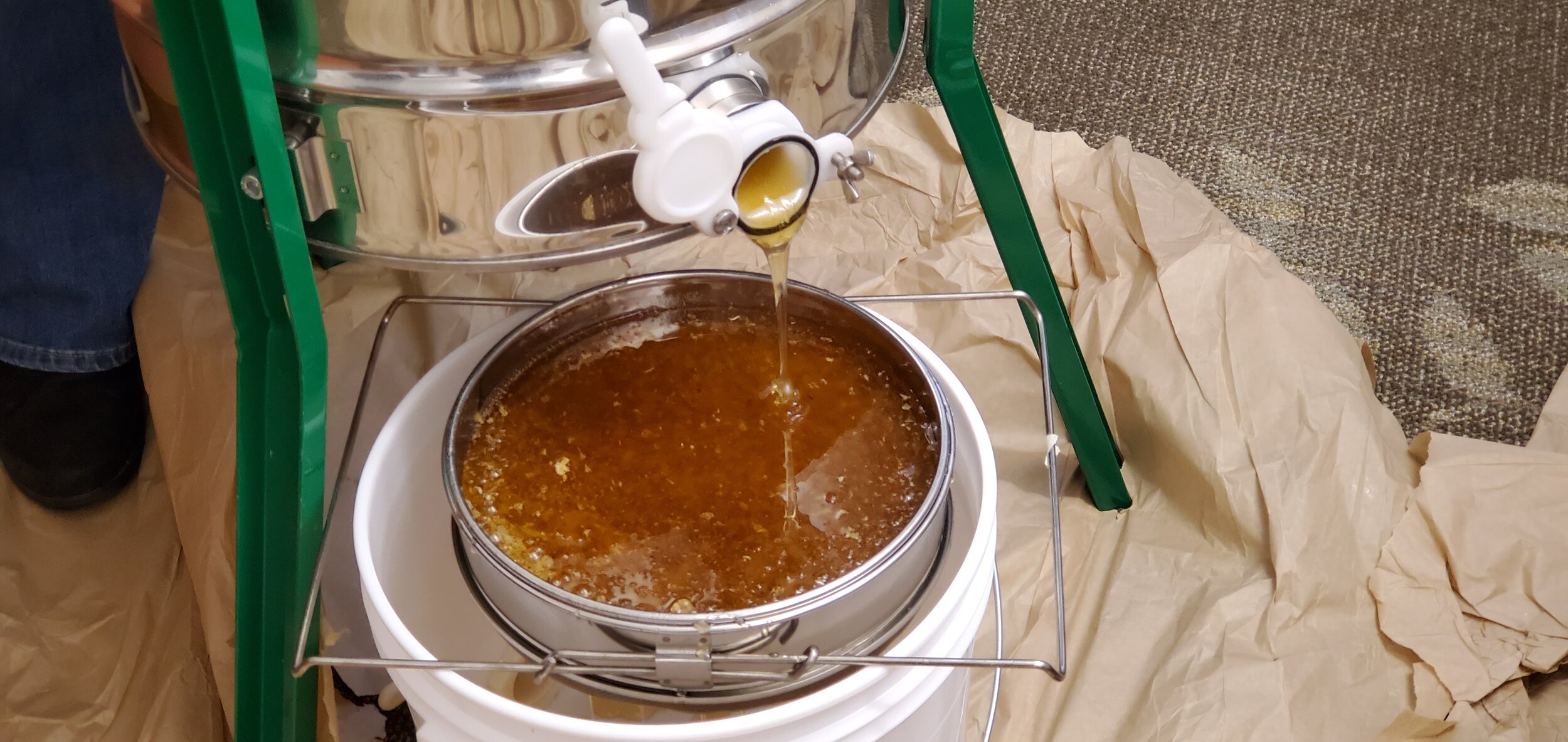Honey being extracted from a metal extractor into a filter and bucket below, with brown paper on the floor and a green stand.