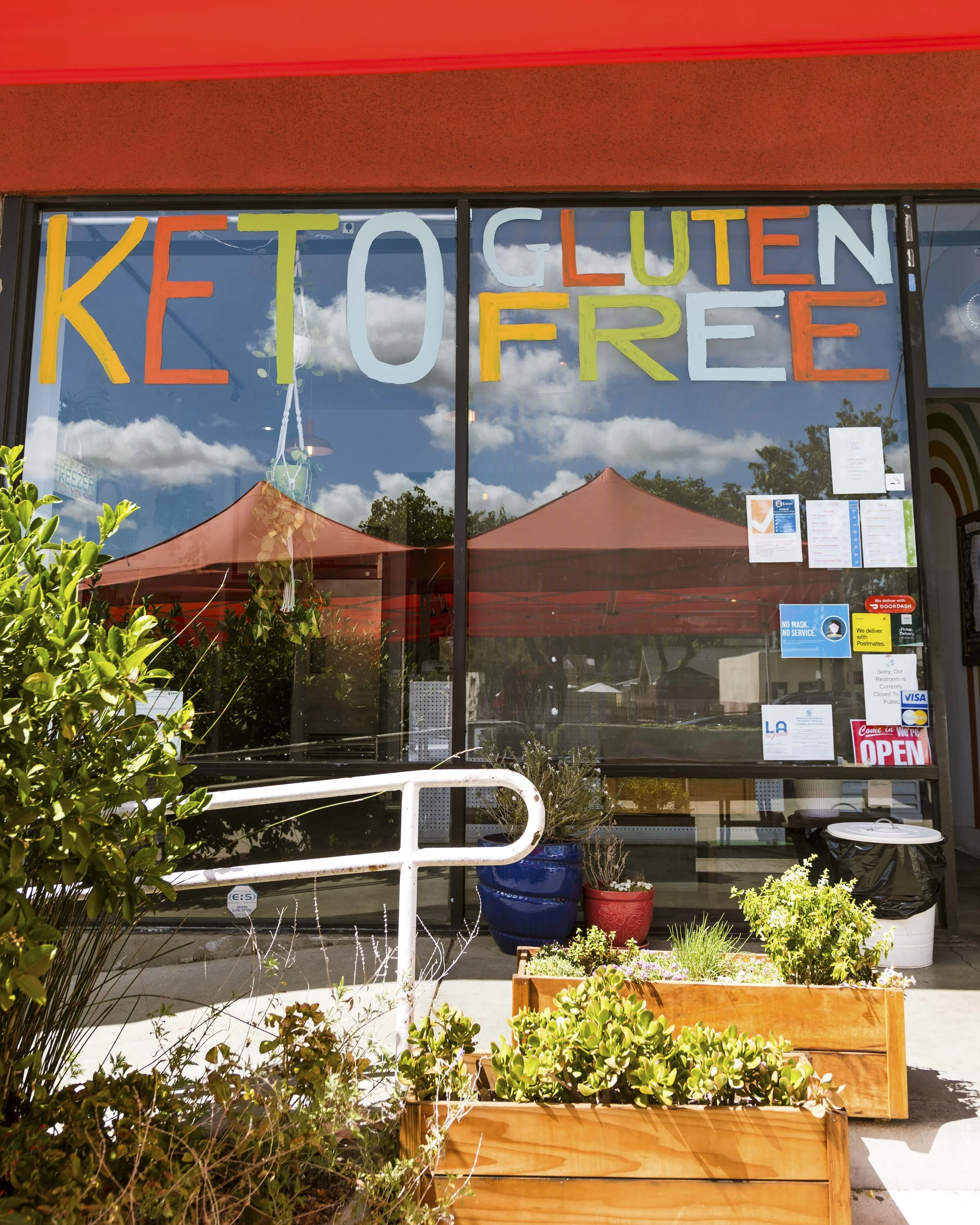 Plants and Animals Elements 005.JPG