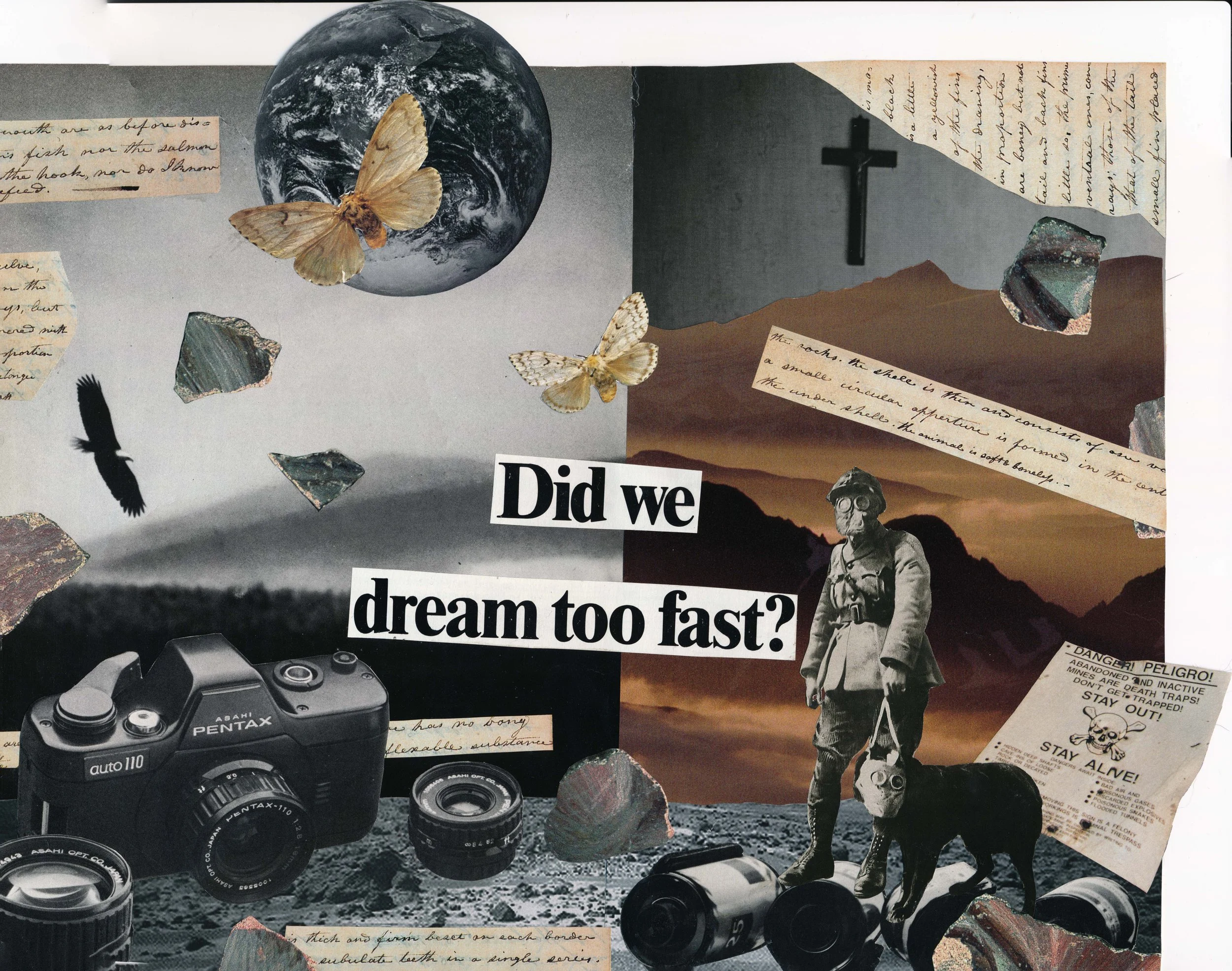 did we dream too fast?