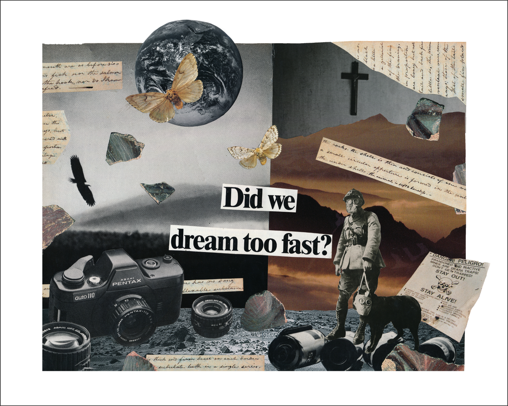 Therian art tiger, image size:1000x800