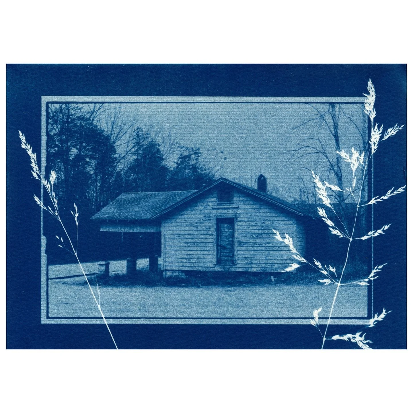 some #cyanotypes. 🌾💙

I&rsquo;ll have these original cyanotypes (as well as 35mm film canister keychains, magnets, collage bookmarks, and photo + art prints) available for purchase this Saturday, July 12th  in Clermont, GA from 8-4 at Three Heifers