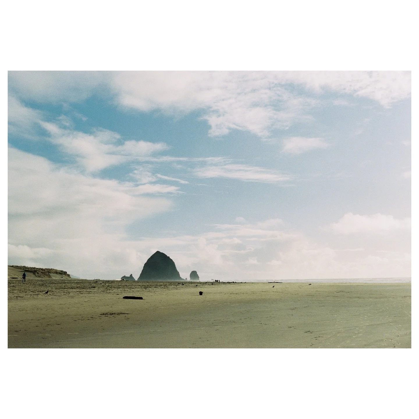 Canon Beach, Oregon 
🎞️: expired @kodak portra 800
.
.
.
#oregoncoast #shootfilm #35mm #seaside #kodakportra #expiredfilm #lowqualityfilm #filmgrain #filmgrainmag #canonbeach #canonbeachoregon