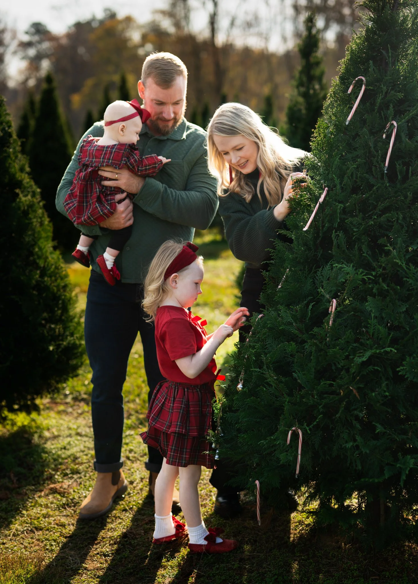 Bottoms Christmas Tree Farm