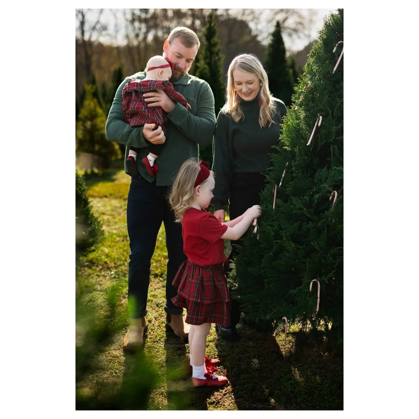 &ldquo;in my heart there&rsquo;s a christmas tree farm &ldquo;🌲✨

It&rsquo;s been a busy holiday season! I keep updating my  website with recent sessions while forgetting instagram exists 😅

#christmasphotoshoot #familyphotos #nikon #christmastreef