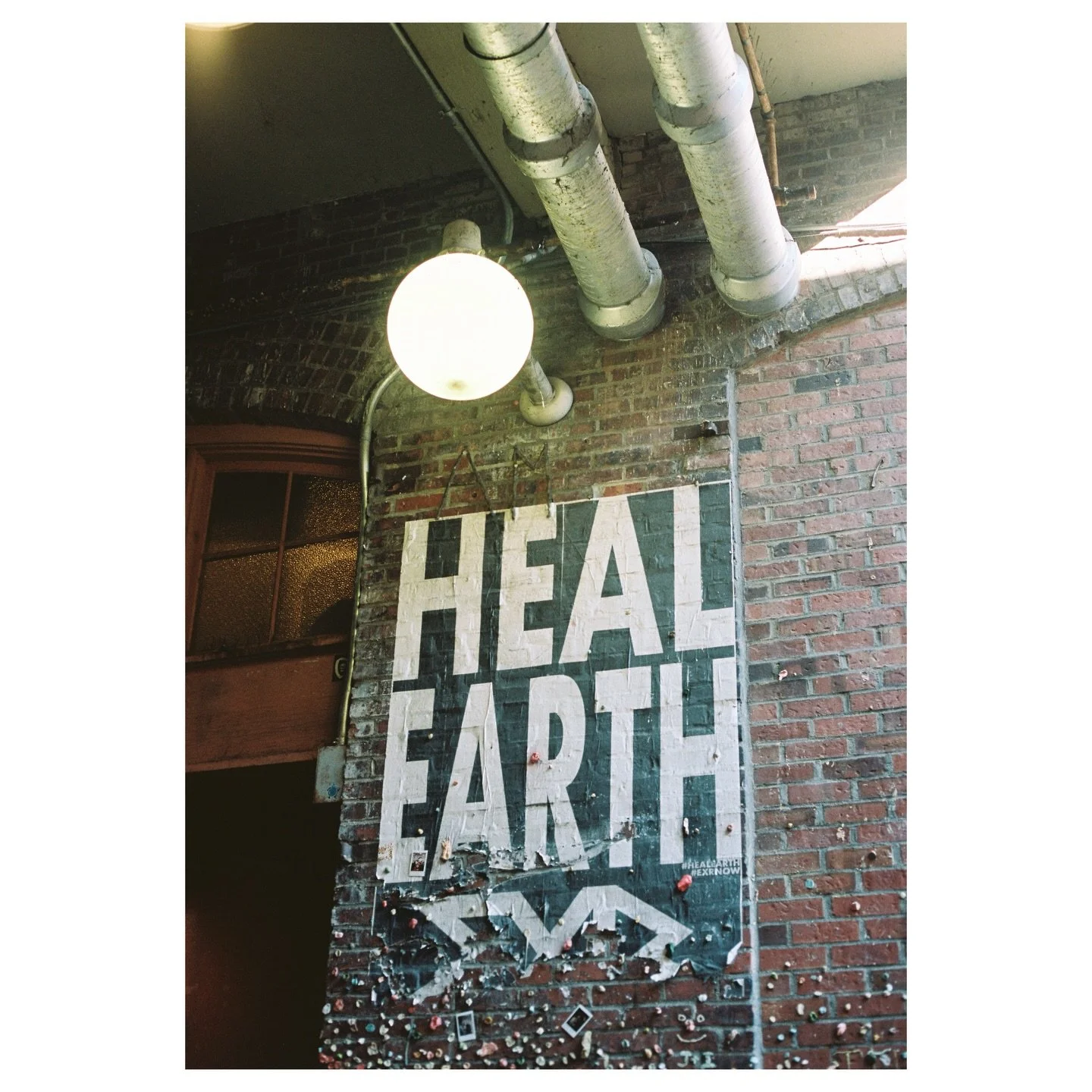 &ldquo;Heal Earth&rdquo;

seattle, washington on kodak portra film (shot with canon ae-1 program). 

🏷️: #portra400 #canonae1 #filmgrain #shootfilm #analogphotography